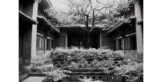 中國嘉德2019秋拍 |  茶中極品，珍如拱璧——百年藍(lán)標(biāo)·宋聘號