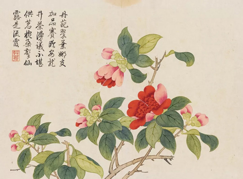 中國(guó)嘉德2018春拍精品導(dǎo)覽 | 燦爛富貴 廟堂氣象：乾隆御題錢維城《花卉冊(cè)》