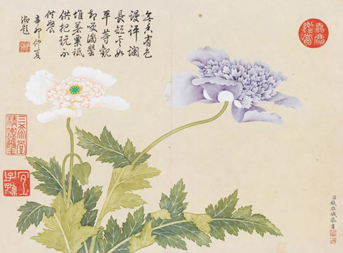 中國(guó)嘉德2018春拍精品導(dǎo)覽 | 燦爛富貴 廟堂氣象：乾隆御題錢維城《花卉冊(cè)》