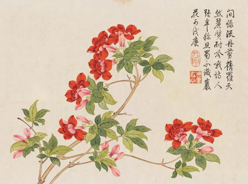 中國(guó)嘉德2018春拍精品導(dǎo)覽 | 燦爛富貴 廟堂氣象：乾隆御題錢維城《花卉冊(cè)》